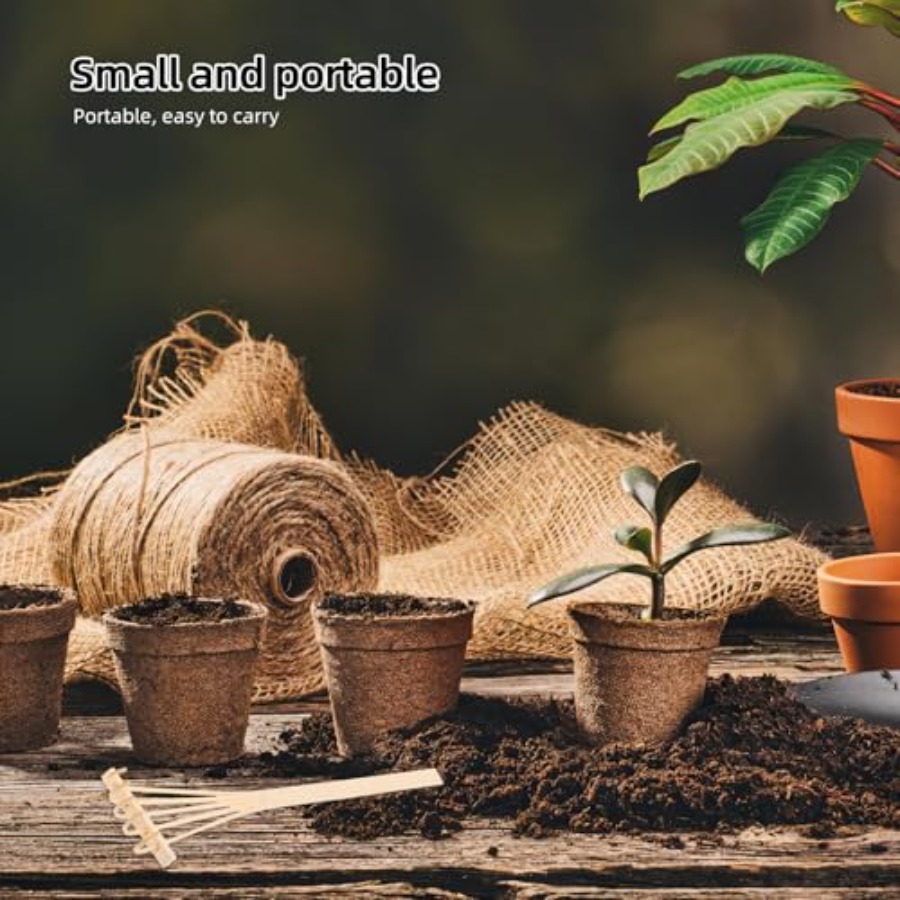 Bamboo Mini Rake Set 4 Pcs for - đánh giá và giá Bonsai Zen Garden Set