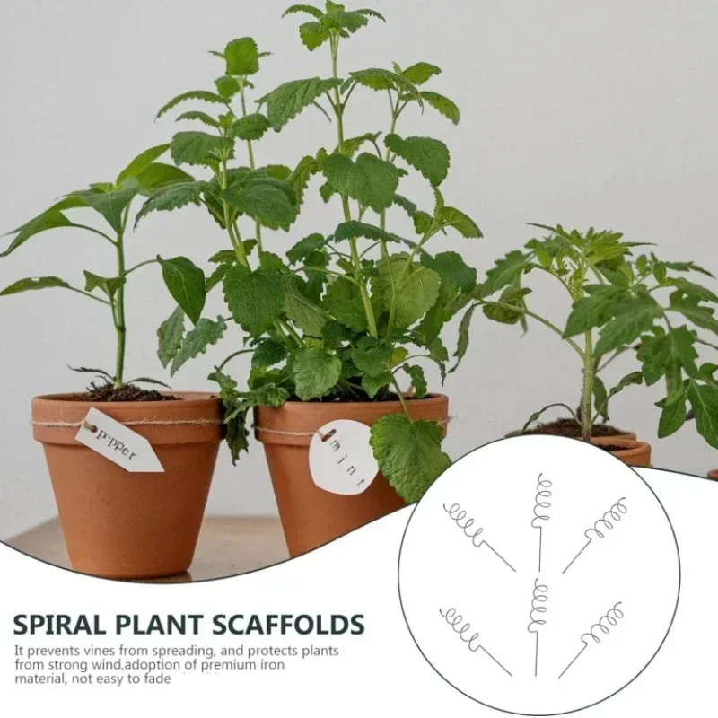 Climbing Plant Support Stake S - đánh giá và giá Bonsai Garden Plants
