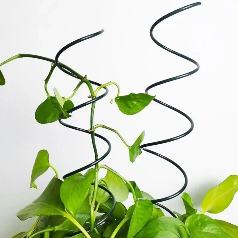 Climbing Plant Support Stake S - đánh giá và giá Bonsai Garden Plants