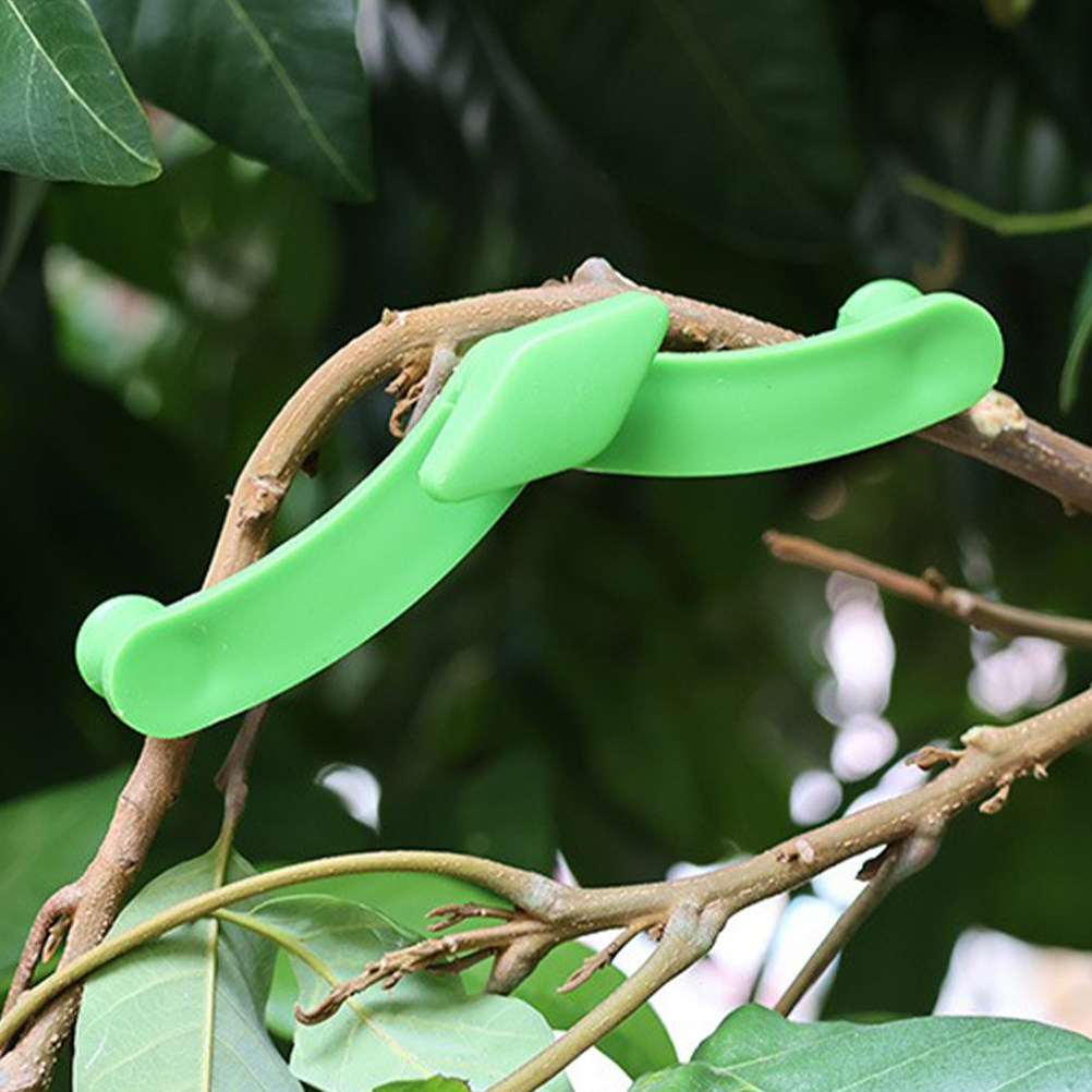 5Pcs Bonsai Branch Stabilizer  - đánh giá và giá Bonsai Garden Plants