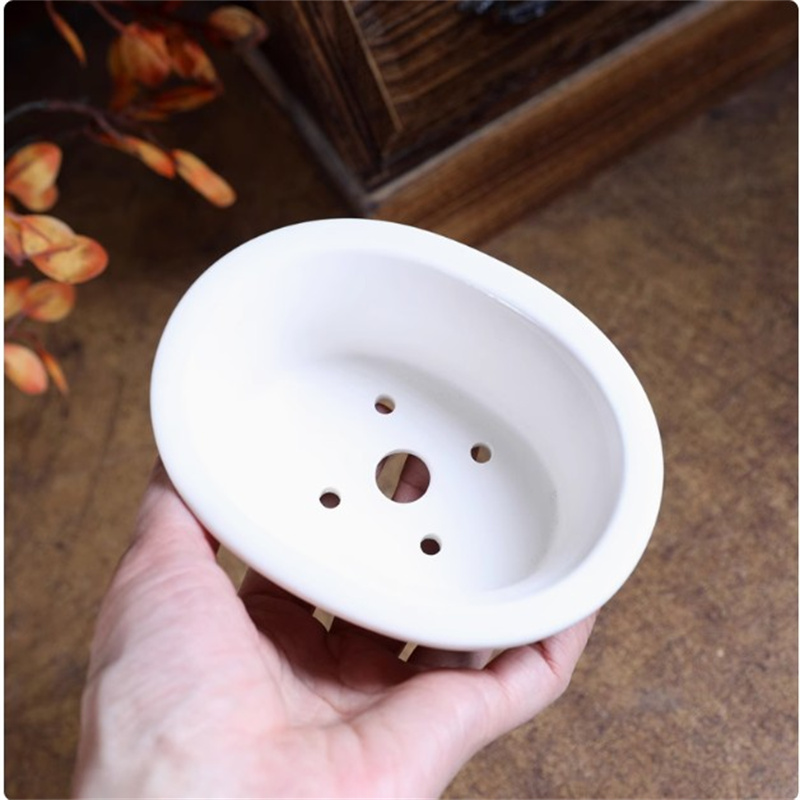 Porcelain White Oval Bonsai Po - đánh giá và giá Bonsai Garden For Desk