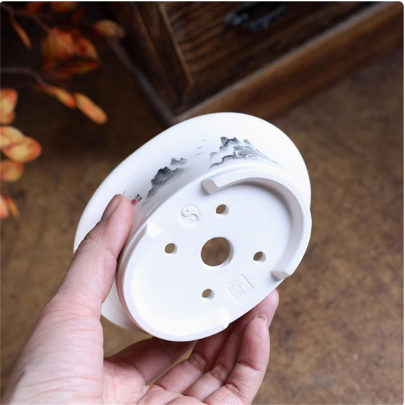 Porcelain White Oval Bonsai Po - đánh giá và giá Bonsai Garden For Desk