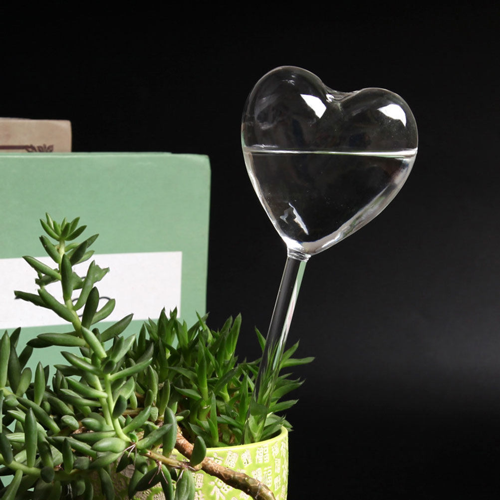 3Pcs Heart Shaped Glass Self W - đánh giá và giá Bonsai Garden Plants