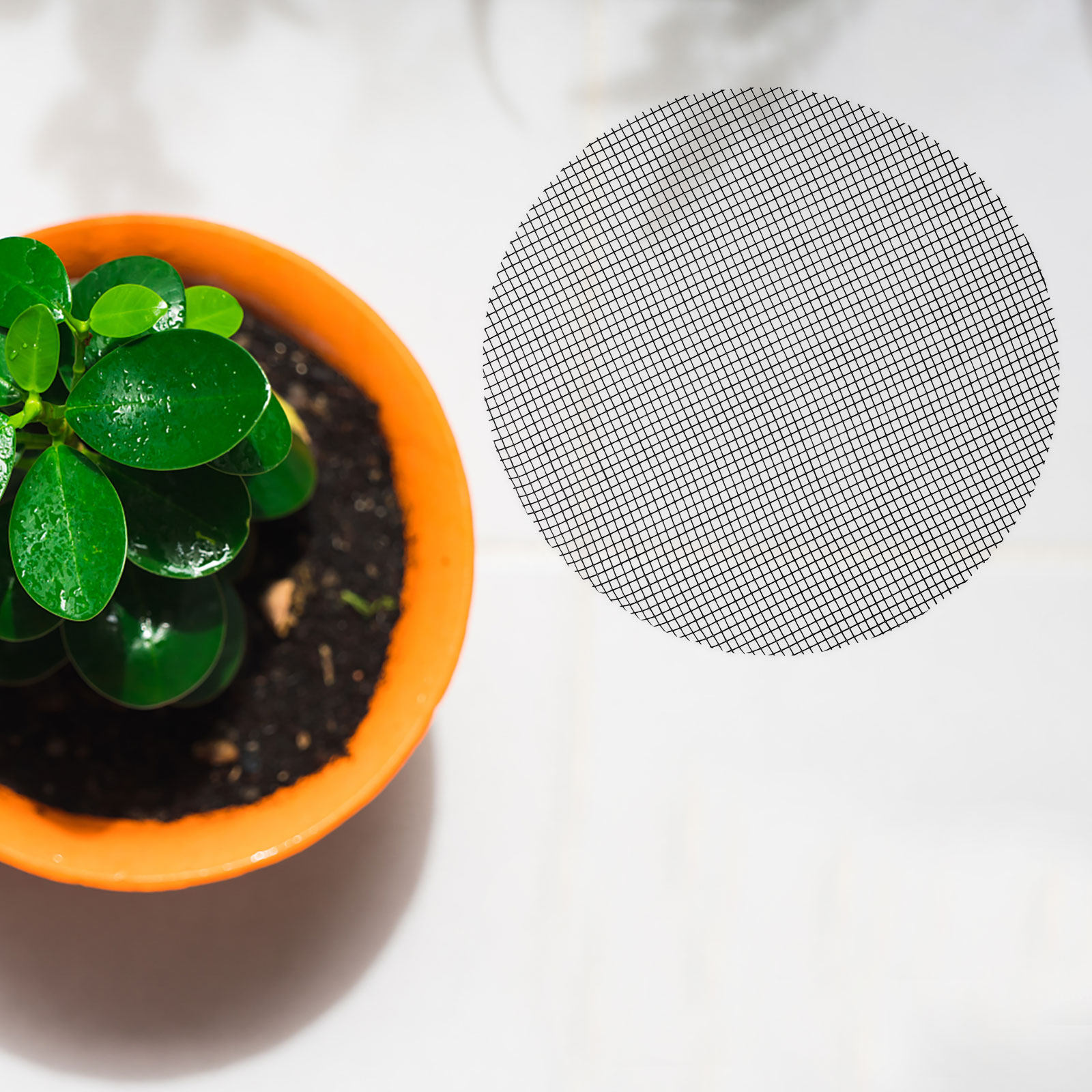 50Pcs Flower Pot Hole Mesh Pad - đánh giá và giá Bonsai Garden Plants