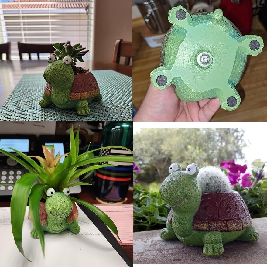 Cute Turtle Planter Succulent  - đánh giá và giá Bonsai Garden For Desk