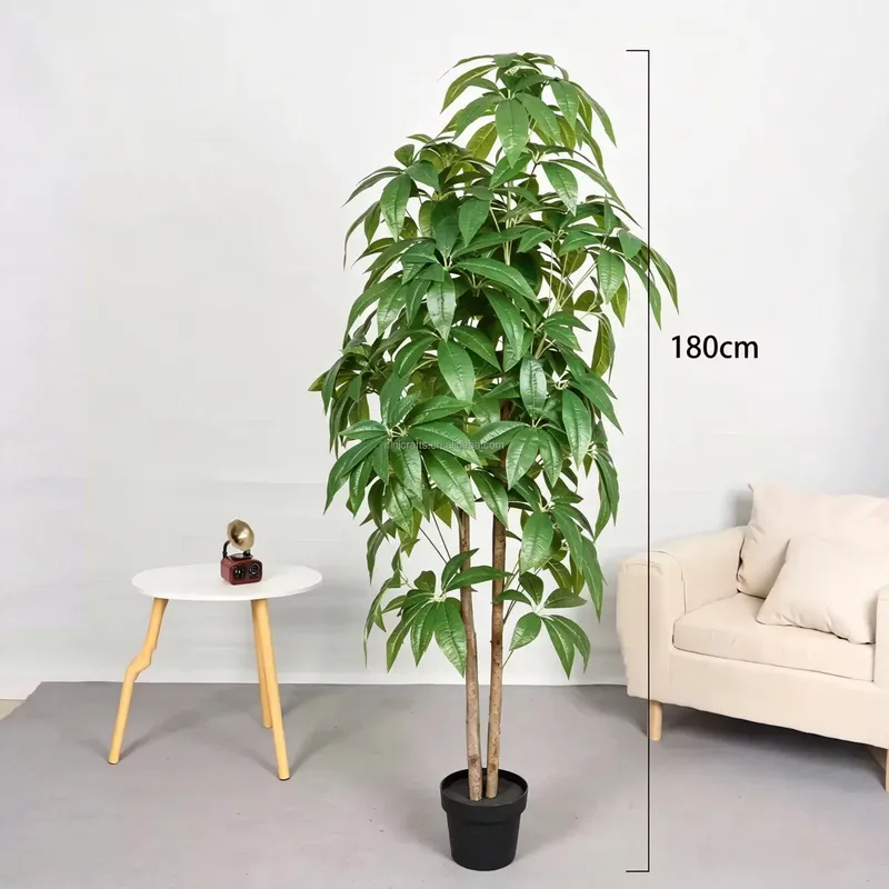 Hot Sale Nordic Style Indoor D - đánh giá và giá Bonsai Garden For Sale