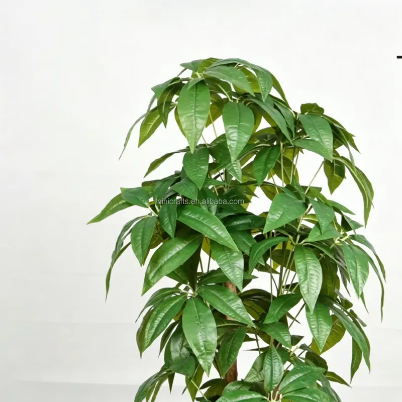 Hot Sale Nordic Style Indoor D - đánh giá và giá Bonsai Garden For Sale