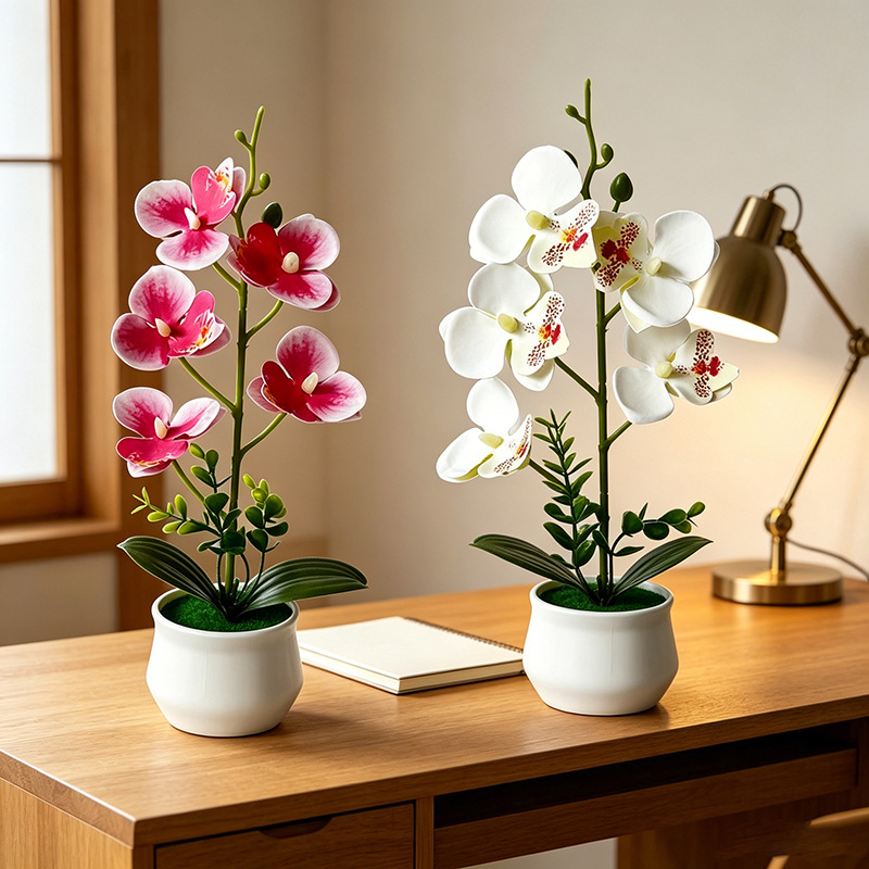 5 Flower Butterfly Orchid Simu - đánh giá và giá Bonsai Garden Layout