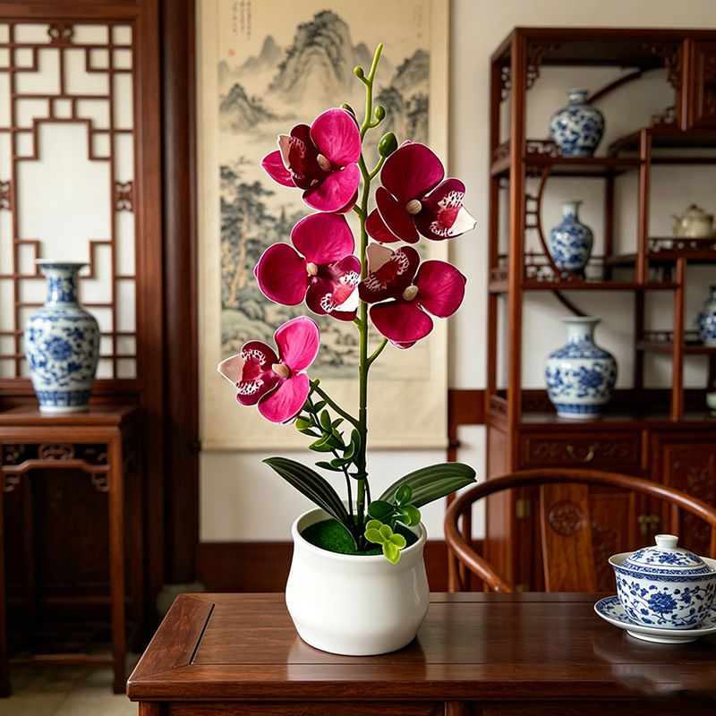 5 Flower Butterfly Orchid Simu - đánh giá và giá Bonsai Garden Layout
