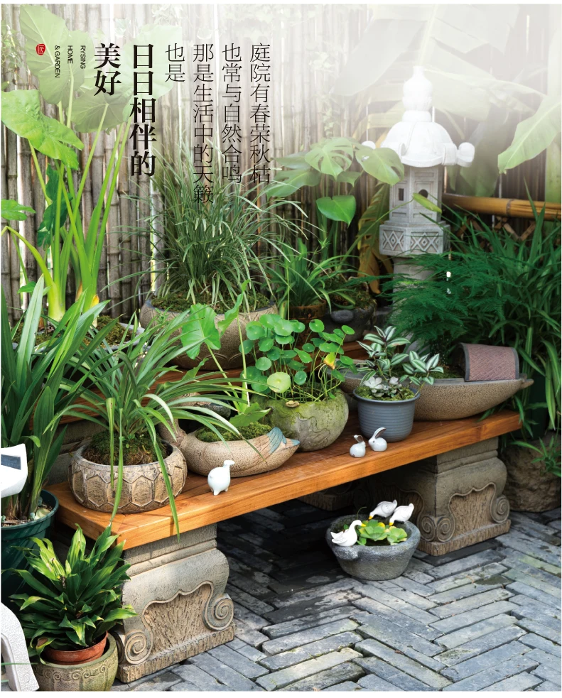 Terrace Garden Layout, Teak Ch - đánh giá và giá Bonsai Garden Layout