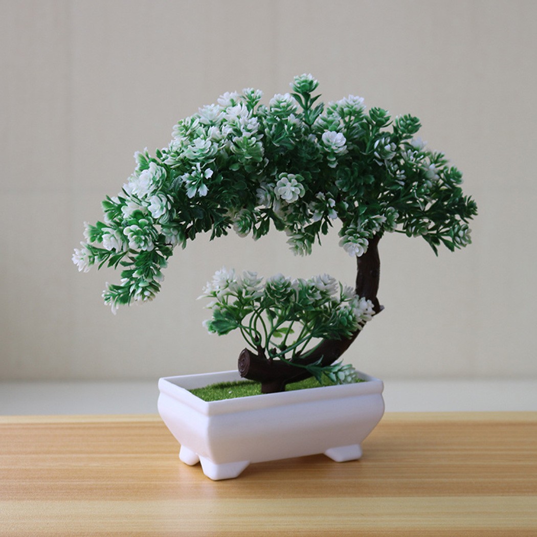 Plastic potted bonsai ornament - đánh giá và giá Bonsai Garden For Desk