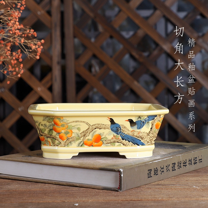 Porcelain Rectangle Bonsai Pot - đánh giá và giá Bonsai Garden For Desk