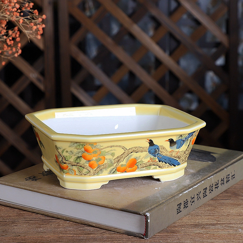 Porcelain Rectangle Bonsai Pot - đánh giá và giá Bonsai Garden For Desk