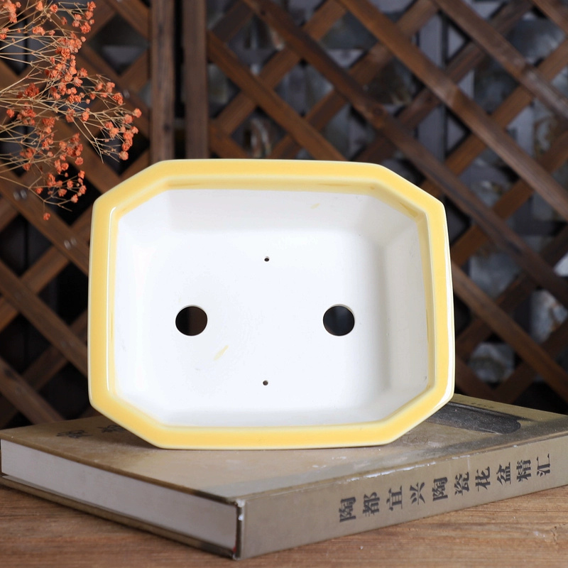 Porcelain Rectangle Bonsai Pot - đánh giá và giá Bonsai Garden For Desk