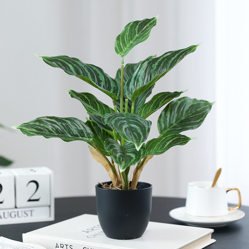 Simulation Green Plants Pothos - đánh giá và giá Bonsai Garden Layout