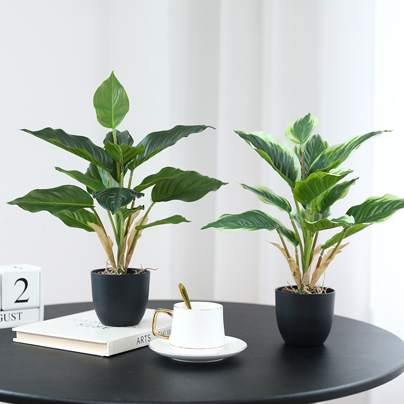 Simulation Green Plants Pothos - đánh giá và giá Bonsai Garden Layout