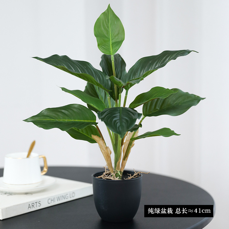 Simulation Green Plants Pothos - đánh giá và giá Bonsai Garden Layout