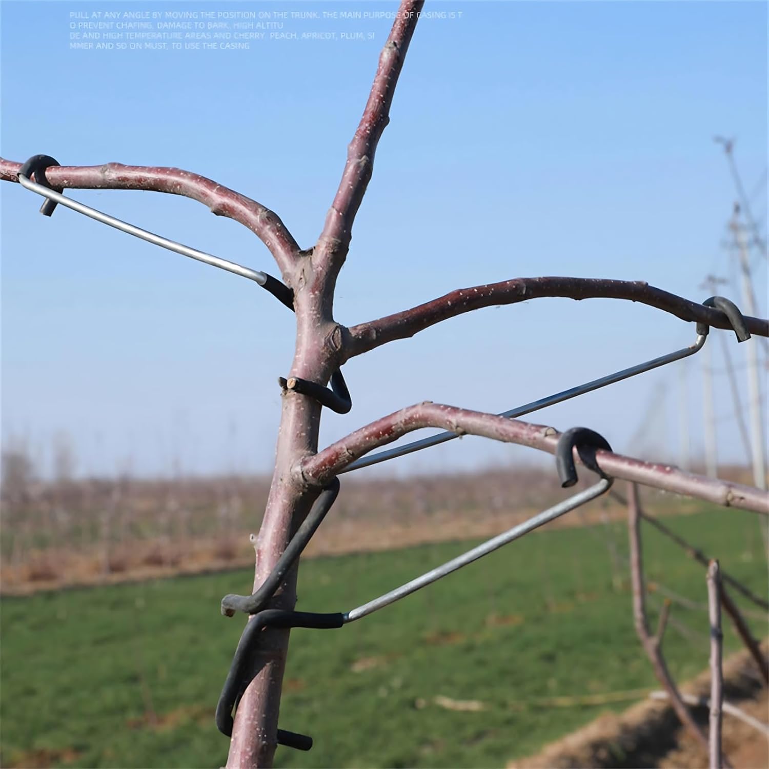 Adjustable Fruit Tree Branch S - đánh giá và giá Bonsai Garden Plants