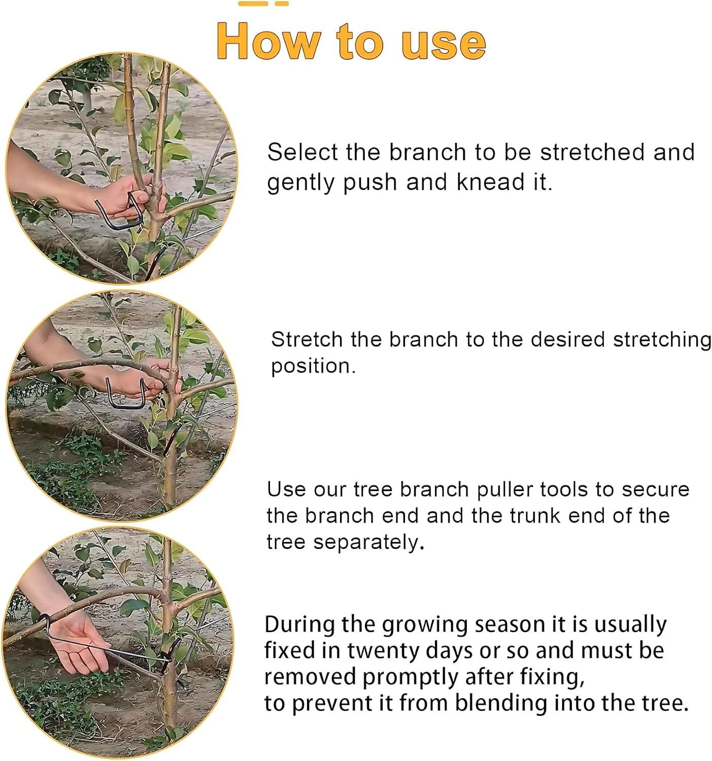 Adjustable Fruit Tree Branch S - đánh giá và giá Bonsai Garden Plants