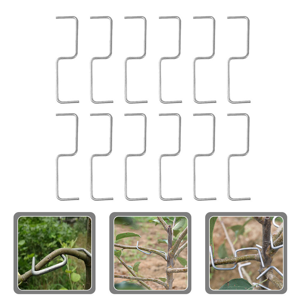 1Set Plant Branches Trainer Br - đánh giá và giá Bonsai Garden Plants
