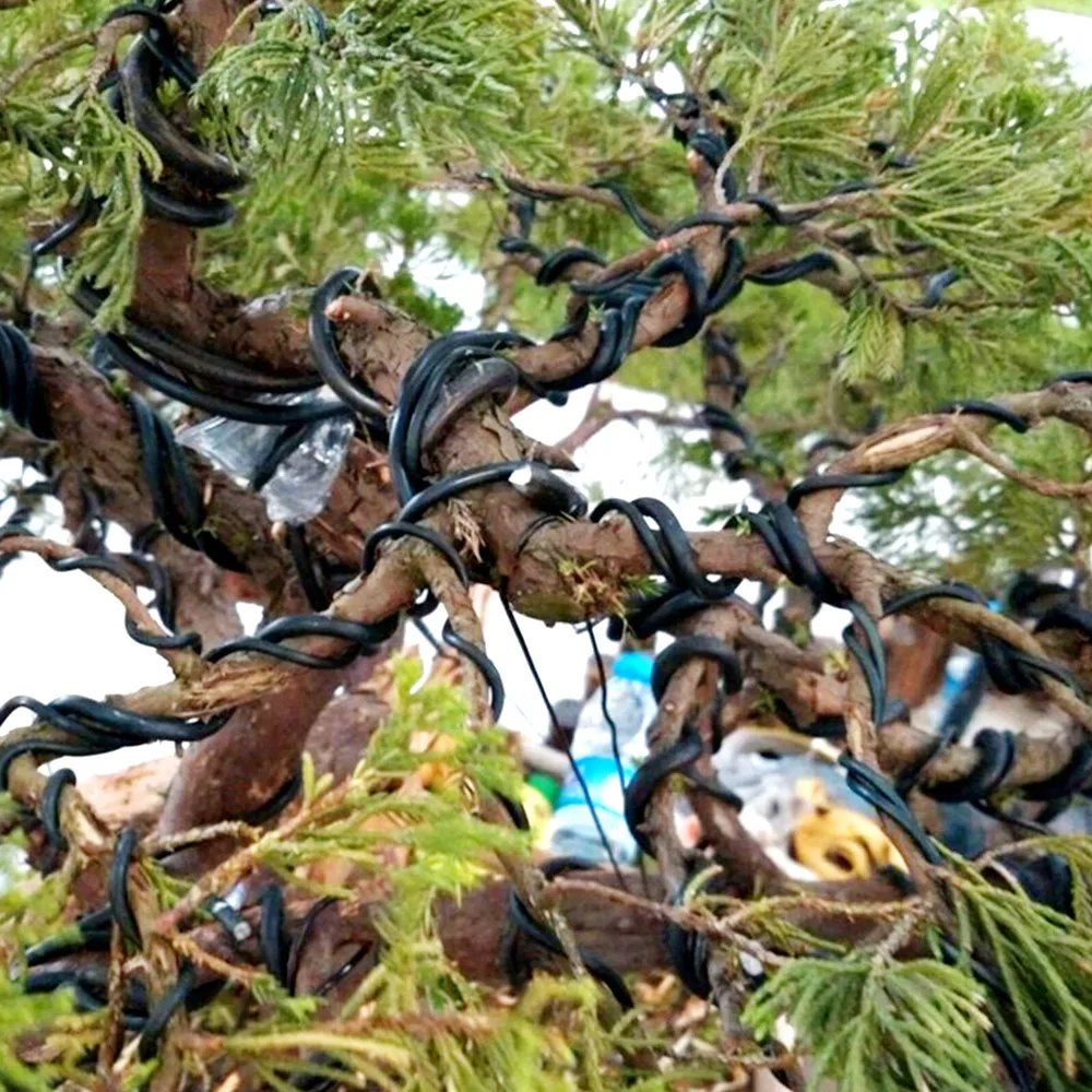 4 Rolls Bonsai Wire Set Anodiz - đánh giá và giá Bonsai Zen Garden Set