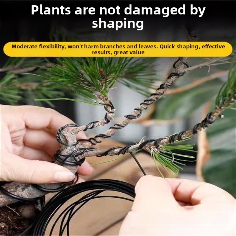1.5MM Bonsai Wires Aluminum Bo - đánh giá và giá Bonsai Garden Plants