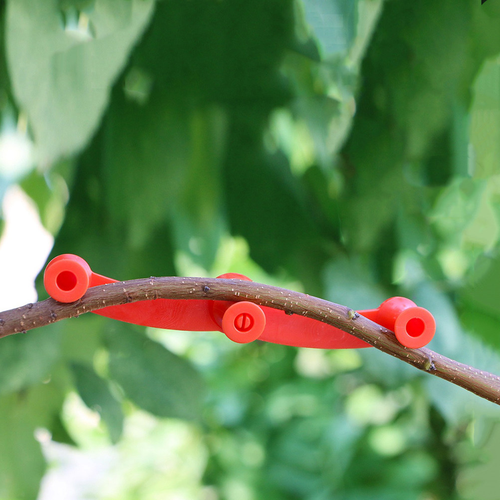 10Pcs Flexible Plant Benders A - đánh giá và giá Bonsai Garden Plants