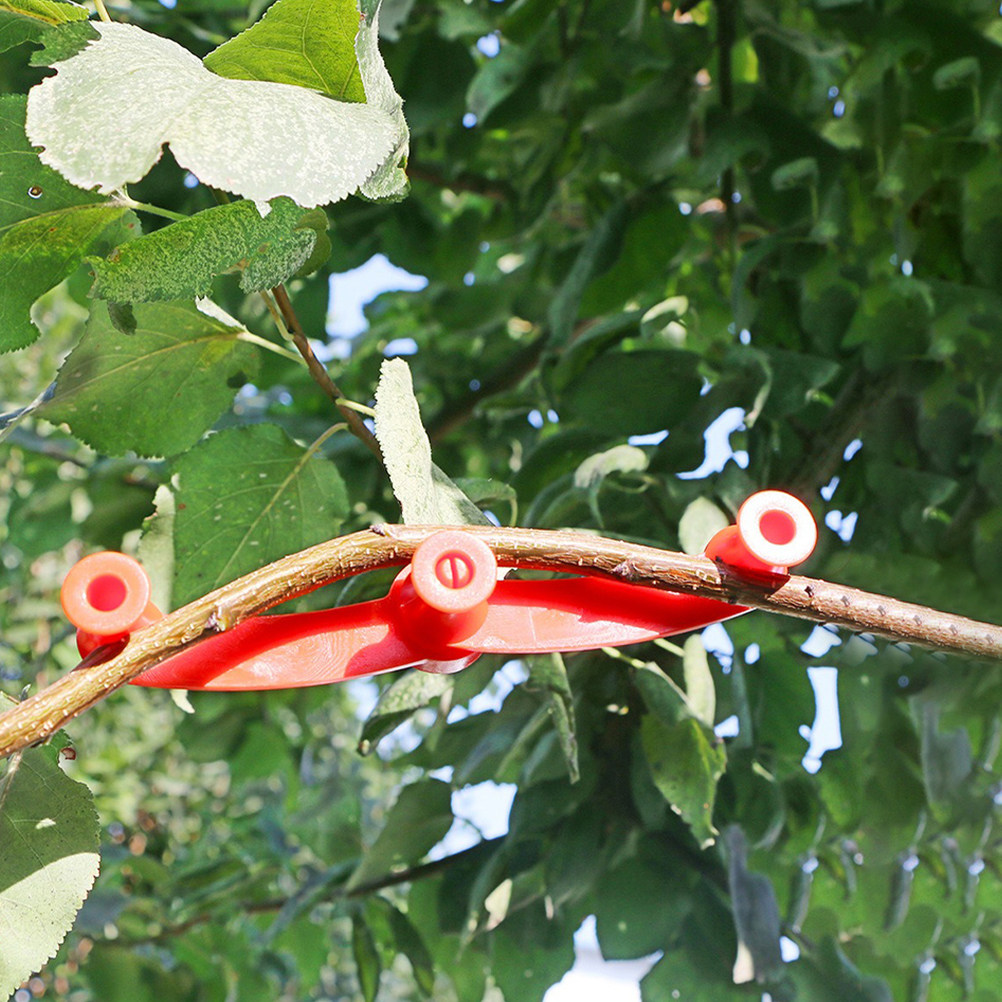10Pcs Flexible Plant Benders A - đánh giá và giá Bonsai Garden Plants