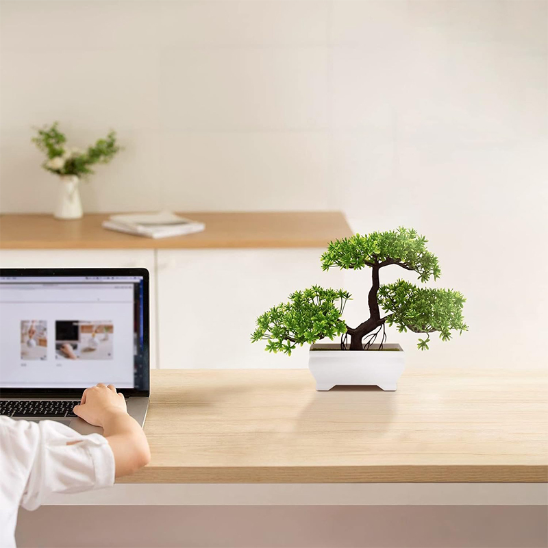 Artificial Bonsai Plastic Bion - đánh giá và giá Bonsai Garden For Desk