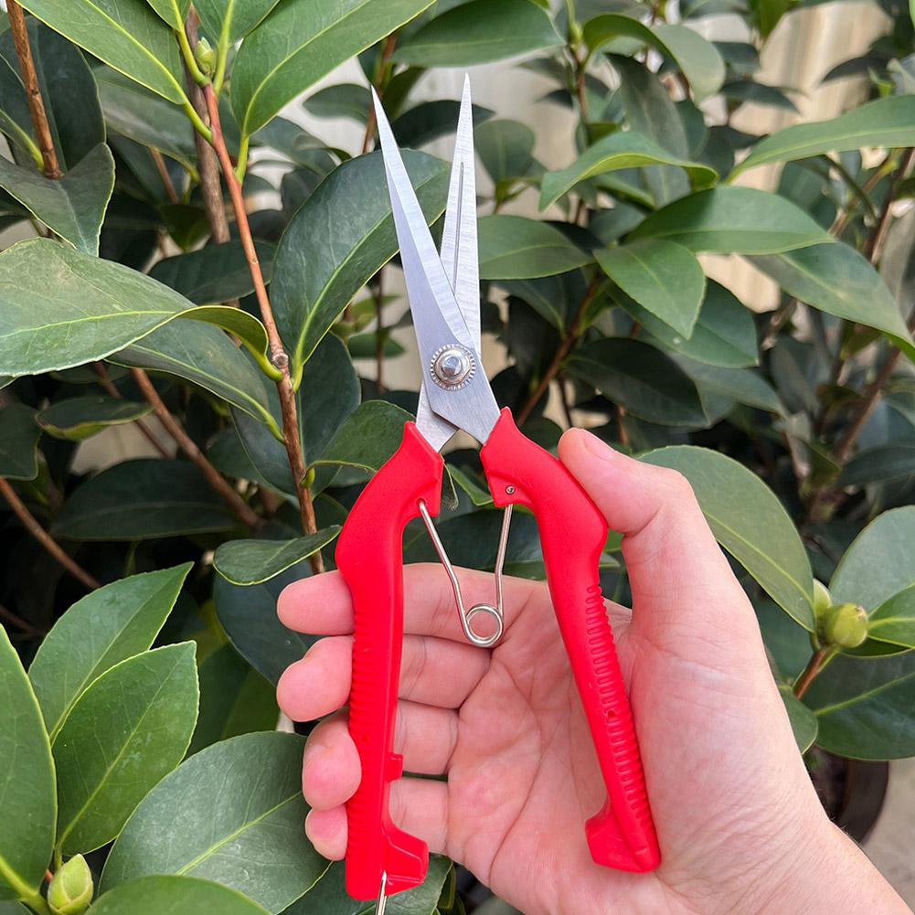 Pro Garden Pruning Shears Leng - đánh giá và giá Bonsai Garden Plants