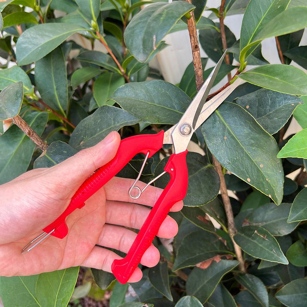 Pro Garden Pruning Shears Leng - đánh giá và giá Bonsai Garden Plants