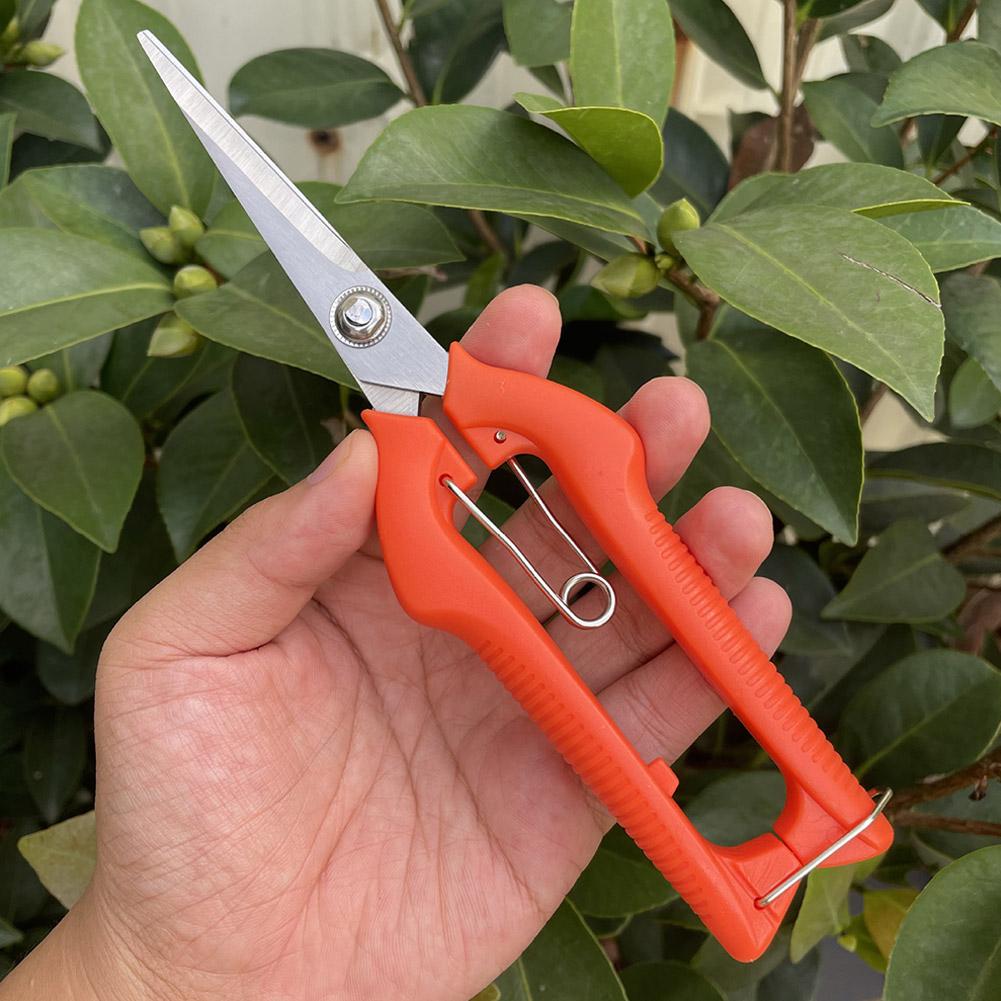 Pro Garden Pruning Shears Leng - đánh giá và giá Bonsai Garden Plants