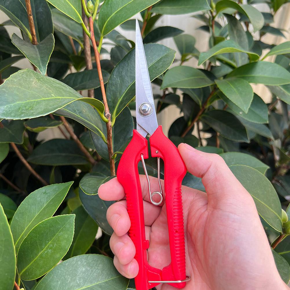 Pro Garden Pruning Shears Leng - đánh giá và giá Bonsai Garden Plants