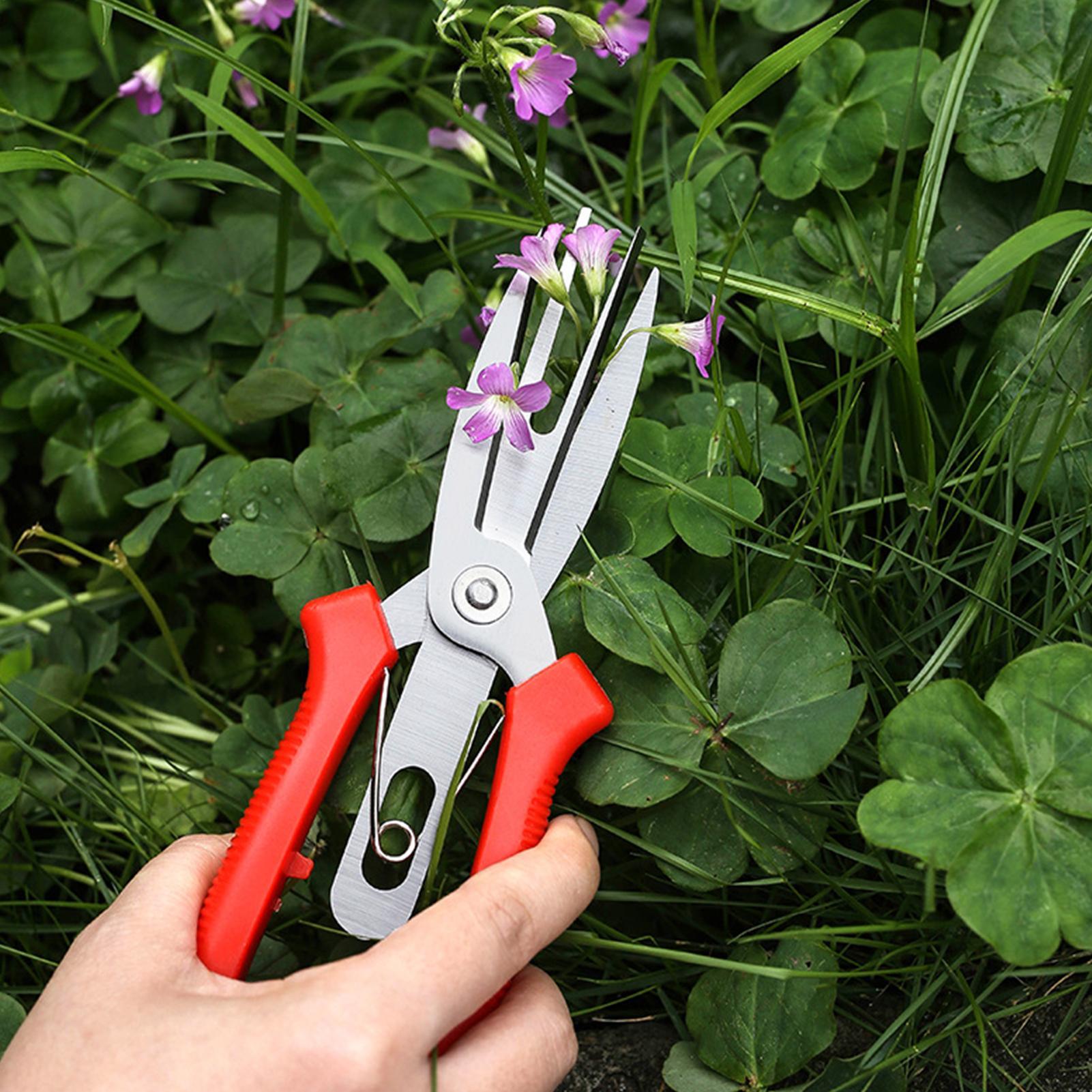 Garden Shears Stainless Steel  - đánh giá và giá Bonsai Garden Plants